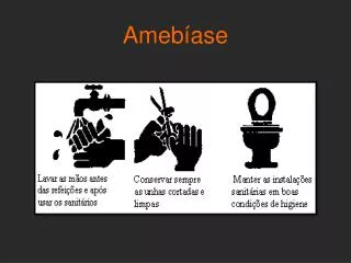ameb ase