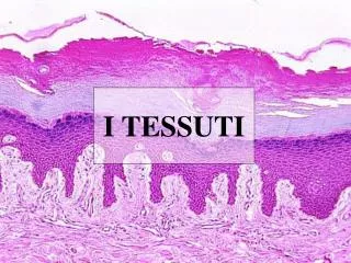 i tessuti