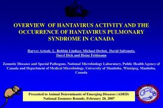 Hantaviruses - History