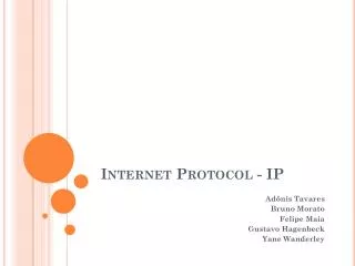internet protocol ip