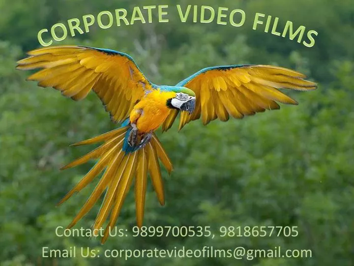 contact us 9899700535 9818657705 email us corporatevideofilms@gmail com