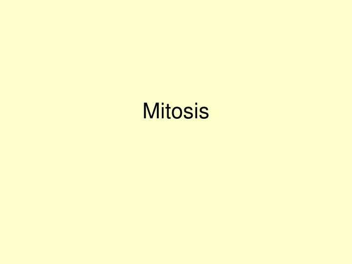 mitosis