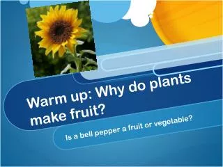 Warm up: Why do plants make fruit?