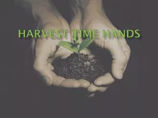 Harvest time hands