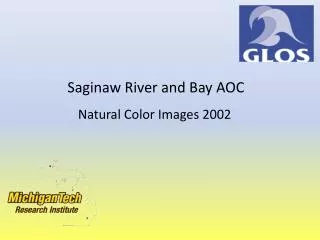 Saginaw River and Bay AOC