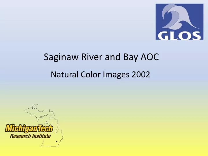 saginaw river and bay aoc