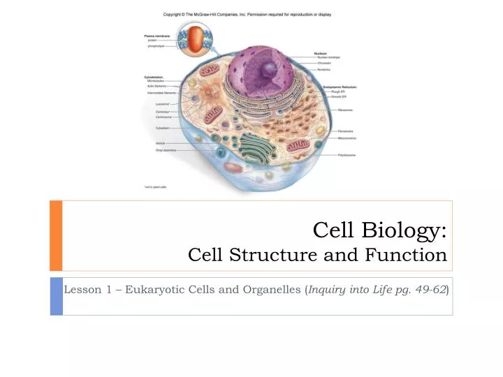 cell biology cell structure and function