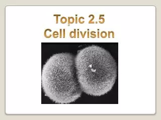 Topic 2.5 Cell division