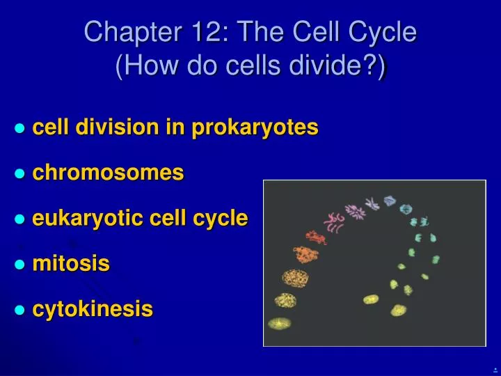 chapter 12 the cell cycle how do cells divide