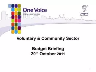 Voluntary &amp; Community Sector Budget Briefing 20 th October 2011
