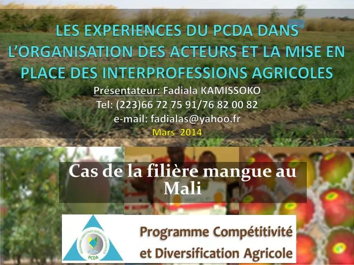 cas de la fili re mangue au mali