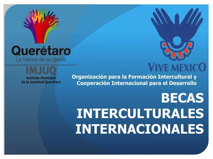 becas interculturales internacionales