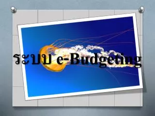 e budgeting