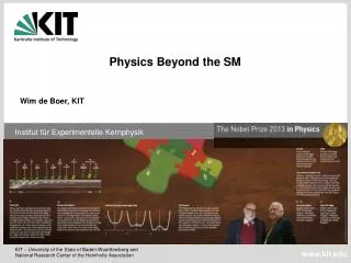 Physics Beyond the SM