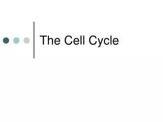 the cell cycle