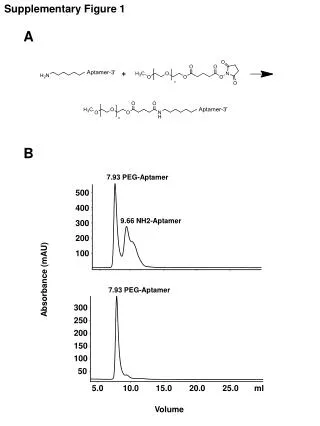 Absorbance (mAU)