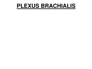 plexus brachialis
