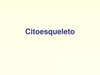 citoesqueleto
