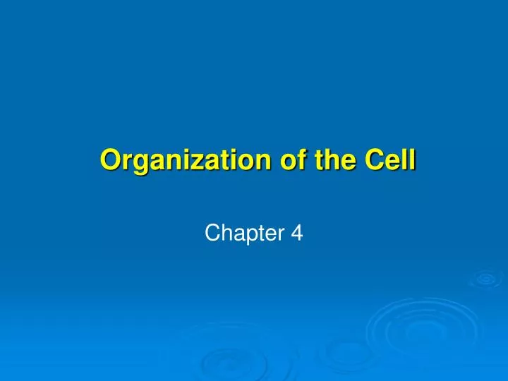 organization of the cell