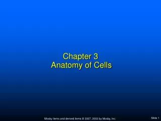 Chapter 3 Anatomy of Cells