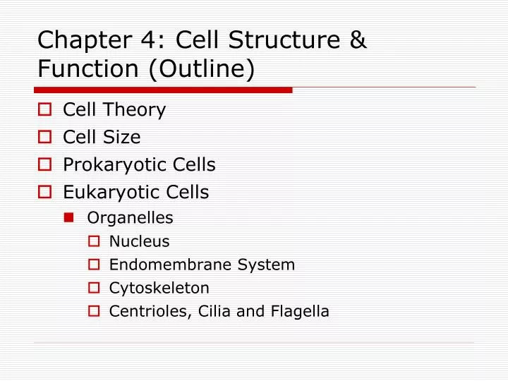 chapter 4 cell structure function outline