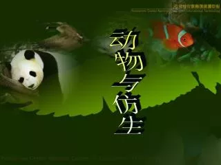 动物与仿生