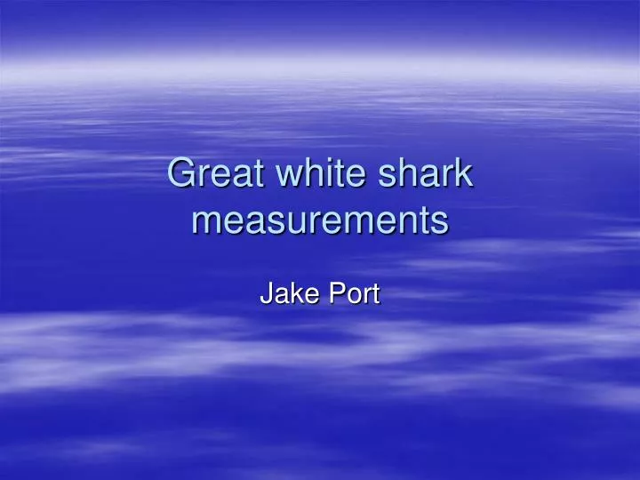 great white shark measurements
