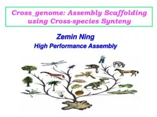 Cross_genome: Assembly Scaffolding using Cross-species Synteny