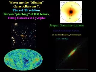 Jesper Sommer-Larsen Dark Cosmology Centre, Niels Bohr Institute, Copenhagen