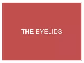 THE EYELIDS