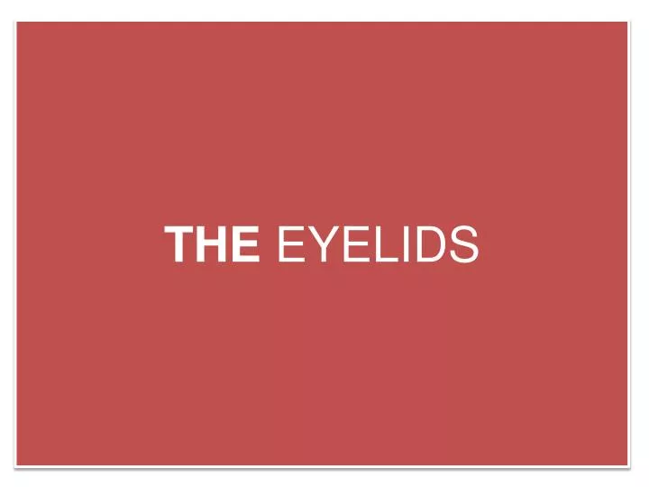 the eyelids