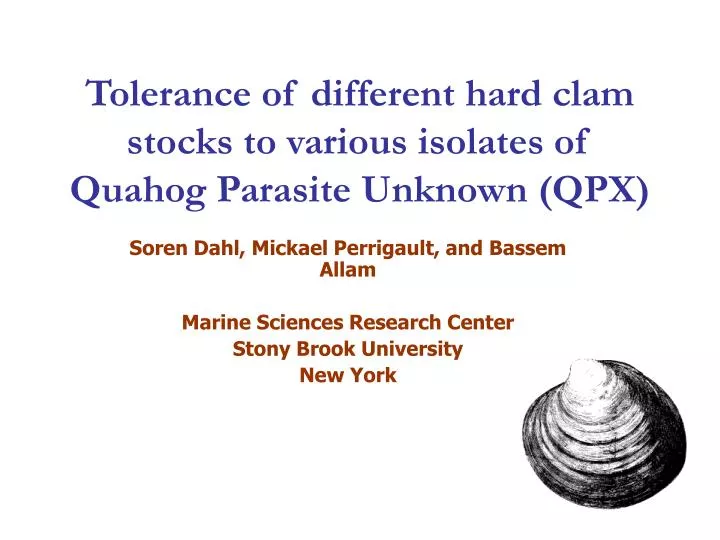 tolerance of different hard clam stocks to various isolates of quahog parasite unknown qpx