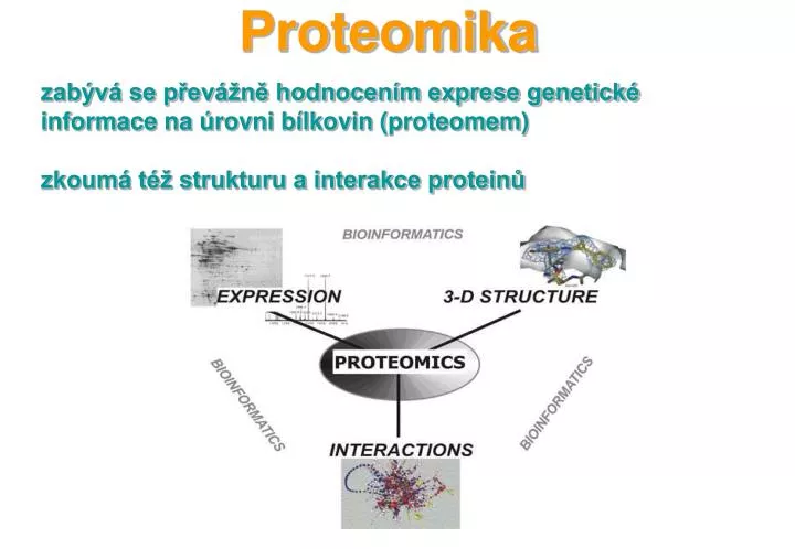 proteomika