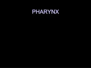 PHARYNX