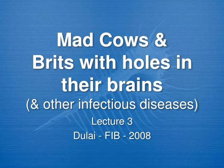 mad cows brits with holes in their brains other infectious diseases