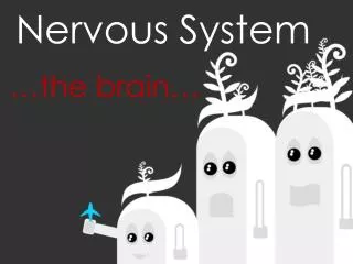 Nervous System