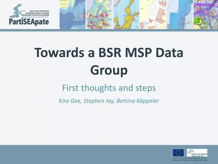 towards a bsr msp data group
