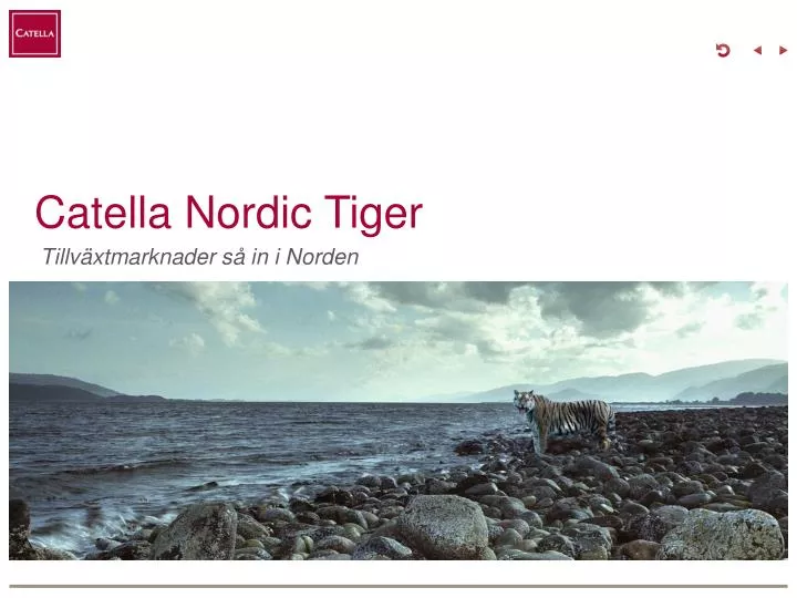 catella nordic tiger