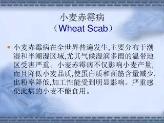 wheat scab