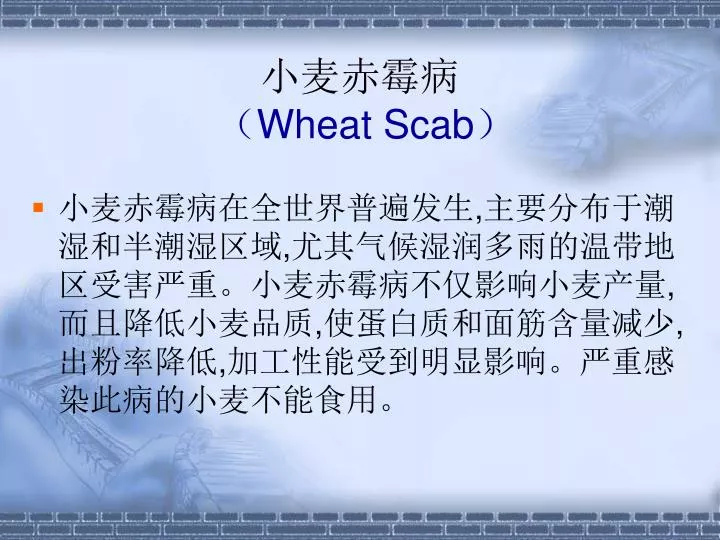 wheat scab