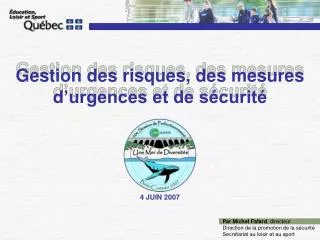 gestion des risques des mesures d urgences et de s curit