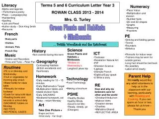 Terms 5 and 6 Curriculum Letter Year 3 ROWAN CLASS 2013 - 2014 Mrs. G. Turley