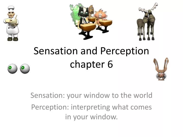 sensation and perception chapter 6