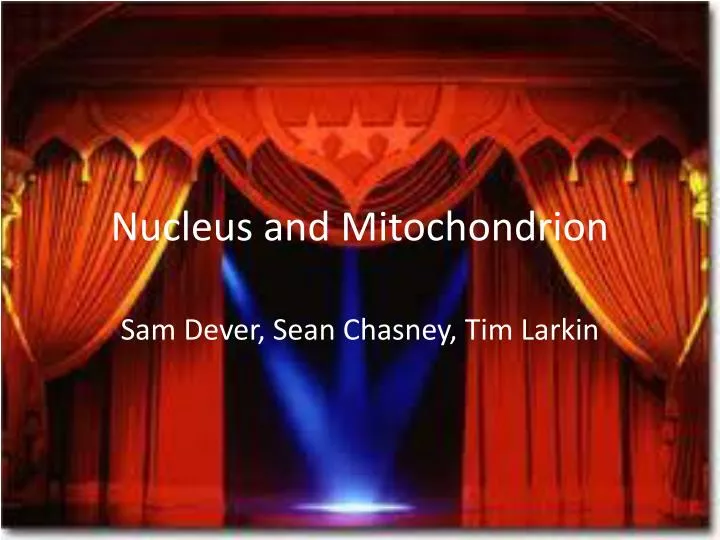nucleus and mitochondrion