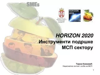 horizon 2020