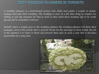 The Best Wedding Planners Toronto