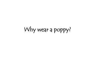 Why wear a poppy?
