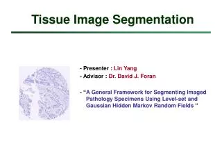 Tissue Image Segmentation