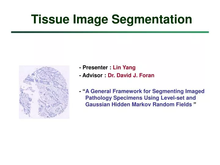 tissue image segmentation