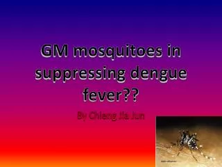 GM mosquitoes in suppressing dengue fever??